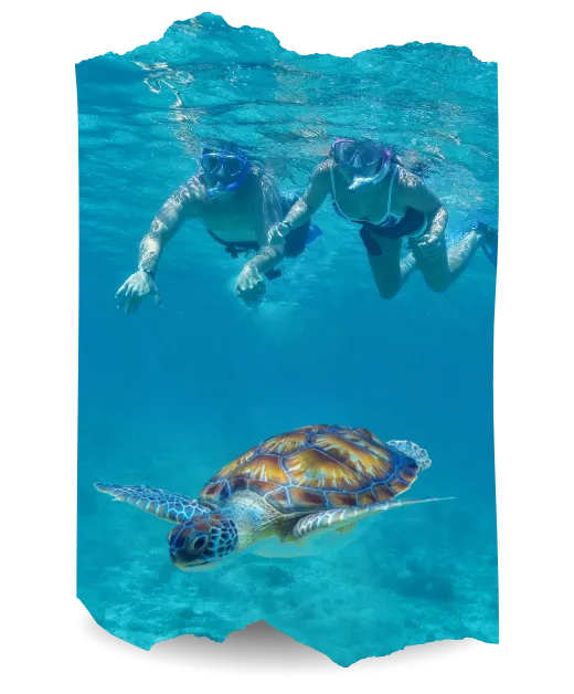 Essence Travel & Creative Agency