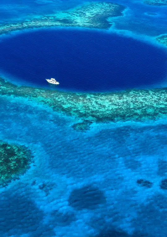 Belice