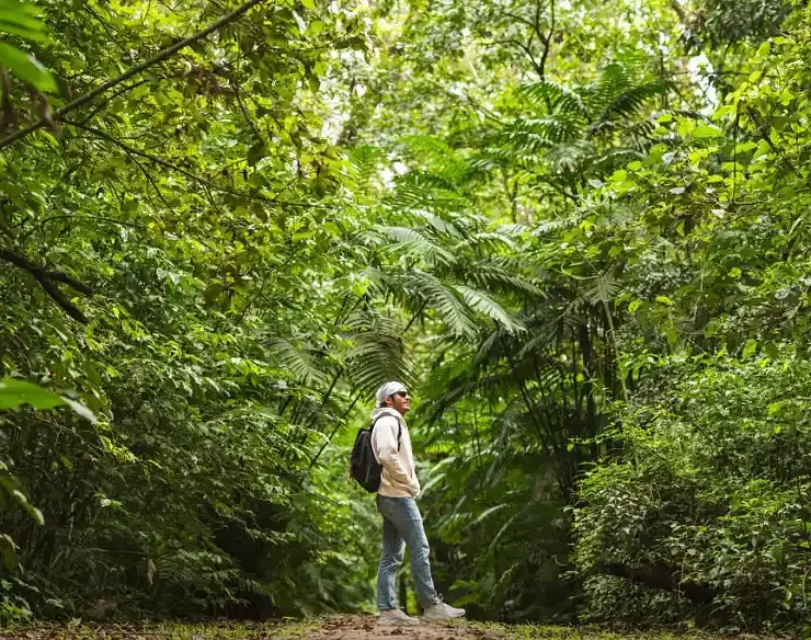 honduras esencial naranjos